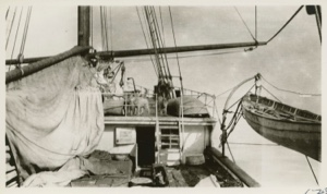 Image of Deck of S.S. Roosevelt